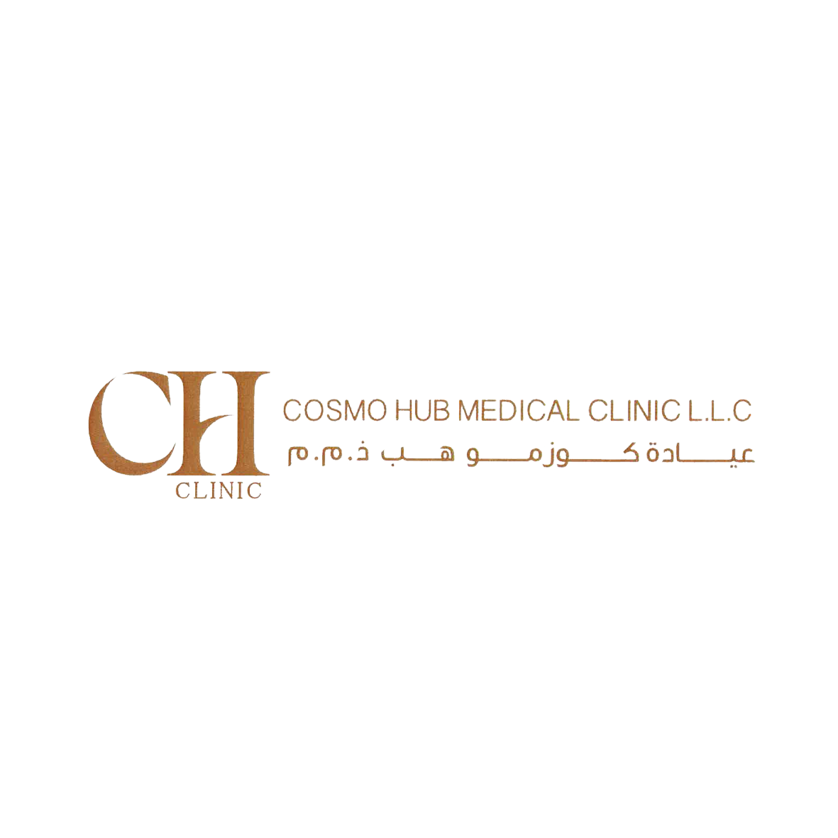 HighVision consultancy client 26